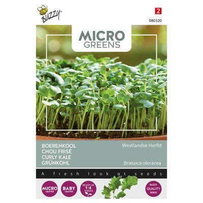 Afbeelding van Microgreens Boerenkool Kiemgroente Buzzy