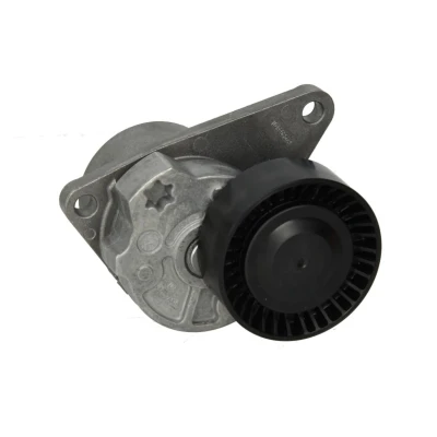 Afbeelding van Ina Spanner poly V riem 534 0103 10