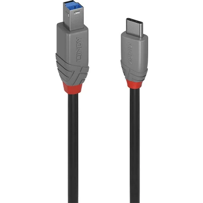 Afbeelding van Lindy 36666 USB kabel 1 m 3.2 Gen (3.1 1) C B Zwart