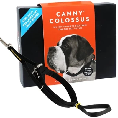 Afbeelding van Canny collar colossus zwart