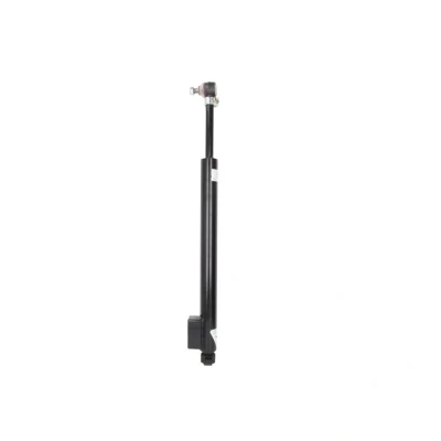 Afbeelding van Dt Spare Parts Stuurdemper 2.53267