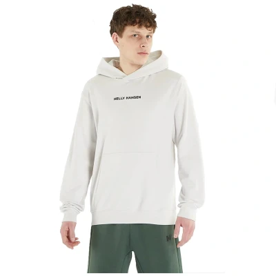 Afbeelding van Helly Hansen CORE Graphic Hoodie, Heren, Maat: Medium, Nimbus cloud