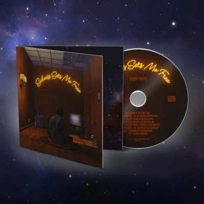 Afbeelding van Gruff Rhys Sadness Sets Me Free (CD)