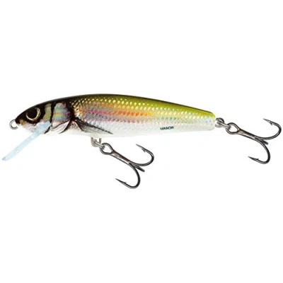 Afbeelding van Salmo Sinking Minnow 7cm 8gr (diepte 1.5 2m) Kleur : Holo Bleak