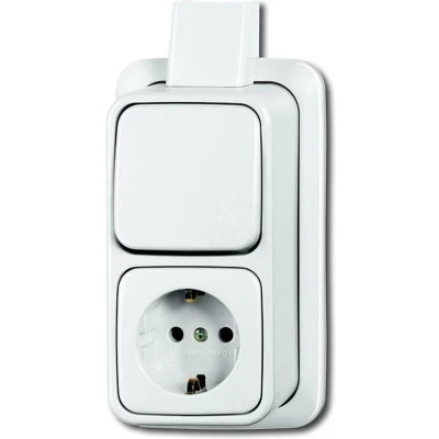 Afbeelding van Busch Jeager combinatie wisselschakelaar plaat alpin wit 260162300 EAPJW