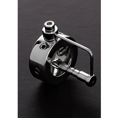 Afbeelding van Spike Ring with P Plug 1 / 25mm