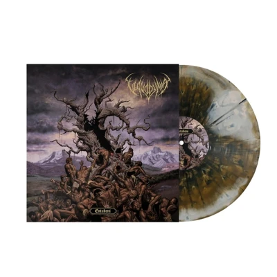 Afbeelding van Vulvodynia Entabeni (LP)
