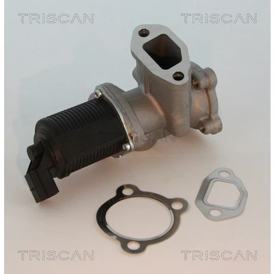 Afbeelding van Triscan EGR klep 8813 10003