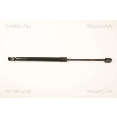 Afbeelding van Gasveer, kofferruimte TRISCAN 8710 43231