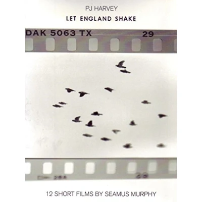 Afbeelding van P.J. Harvey Let England Shake (Deluxe Edition)
