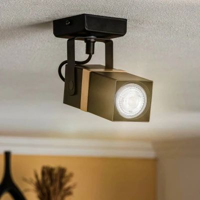 Afbeelding van Eko Light Plafondspot Vidar, zwart, 1 lamp