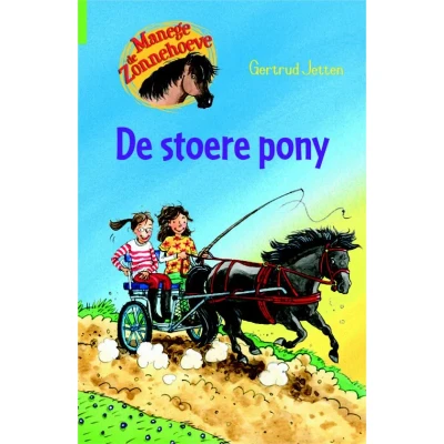 Afbeelding van Kluitman Manege de zonnehoeve stoere