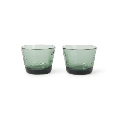 Afbeelding van Iittala Tundra drinkglas 16 cl set van 2 Groen