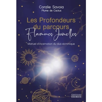 Afbeelding van Les profondeurs du parcours Flammes Jumelles Manuel d&#039;incarnation duo alchimique