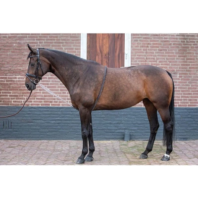 Afbeelding van Harry&#039;s Horse Longeerhulp Soft L Zwart Wit