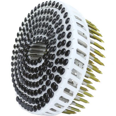 Afbeelding van Bolkop Rolnagels RVS A2 Zwart 2.5 2.7 x 50 mm Rol 200 stuks