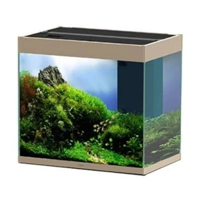 Afbeelding van Ciano Emotions 60 Mystic Biologische Filter
