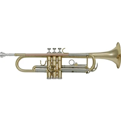 Afbeelding van SML Paris TP300 trompet