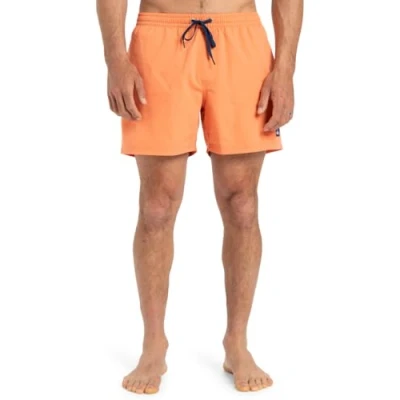 Afbeelding van Quiksilver Everyday Solid 15 Zwemshorts, Heren, Maat: Small, Nhz