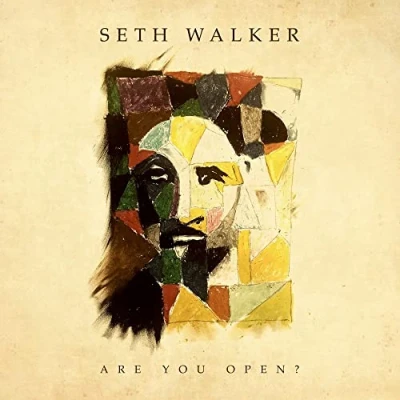 Afbeelding van Seth Walker Are You Open (LP)