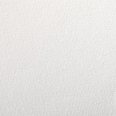 Afbeelding van Clairefontaine 37900C tekenpapier à grain (160 g, korrelig, ideaal voor droogtechnieken, 250 vellen, 50 x 65 cm) wit