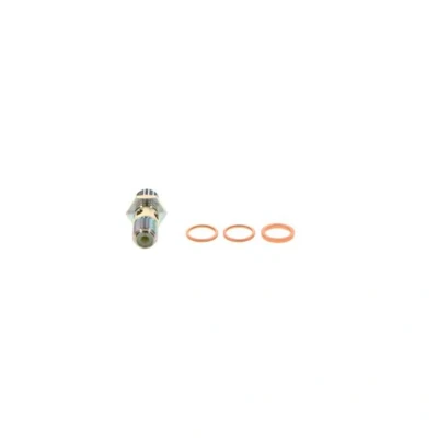 Afbeelding van Bosch Brandstofpomp rep.set 1 587 010 532