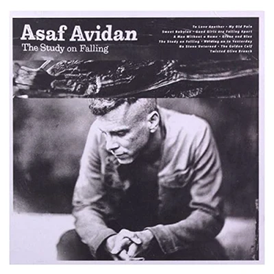 Afbeelding van Asaf Avidan The Study On Falling (CD)