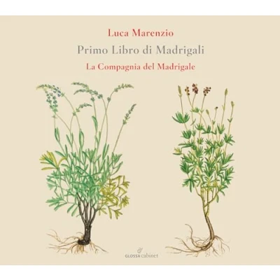 Afbeelding van La Compagnia Del Madrigale Primo Libro Di Madrigali (CD)
