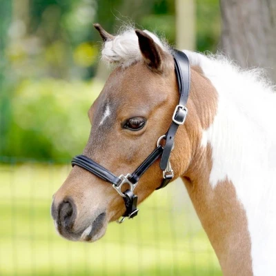 Afbeelding van HB Showtime Little Sizes Lederen Halster