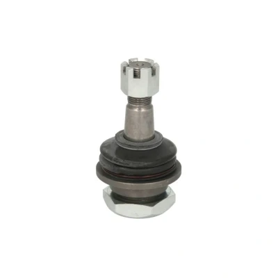 Afbeelding van Delphi Diesel Fuseekogel TC1789