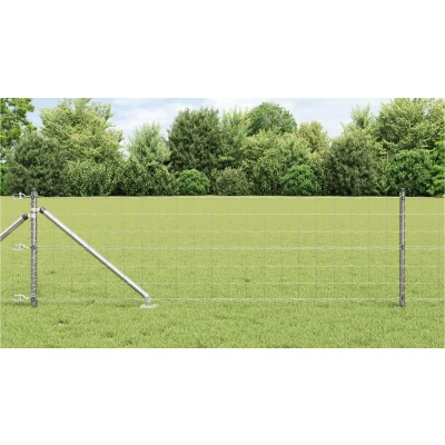 Afbeelding van vidaXL Euro Fence met 7 Spike Posts 0.6x10 m Gegalvaniseerd Staal