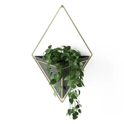 Afbeelding van Umbra Opbergbak Trigg Voor Aan De Wand Zwart Messing 23x10x38cm