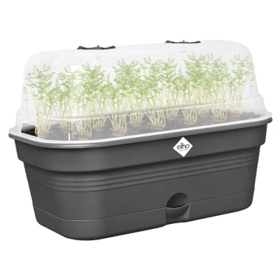 Afbeelding van Green basics kweektray allin1 m living black elho