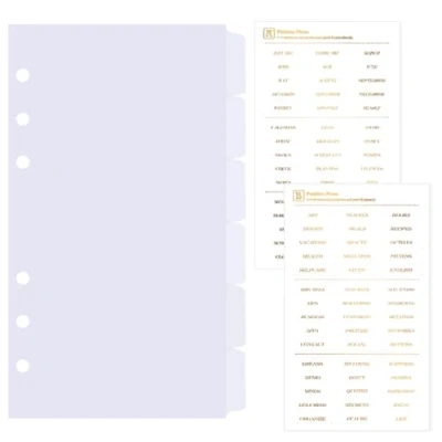 Afbeelding van DY.2ten Transparante ordners, tabbladen, A6, 6 gaten, vellen, kunststof map, index, verdeler voor ringband, notitieboek, planner (17 cm x 9,4 cm)