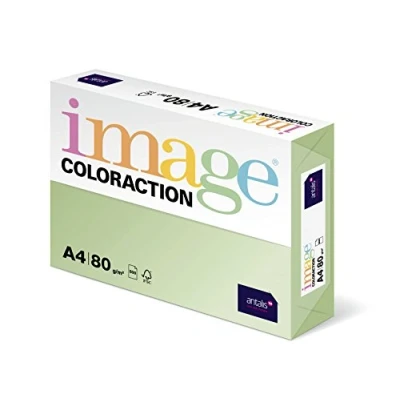Afbeelding van Image Coloraction gekleurd kopieerpapier Jungle/lichtgroen 80g/m² A4 pakket van 500 vellen