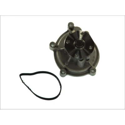 Afbeelding van Thermotec Waterpomp D1M051TT
