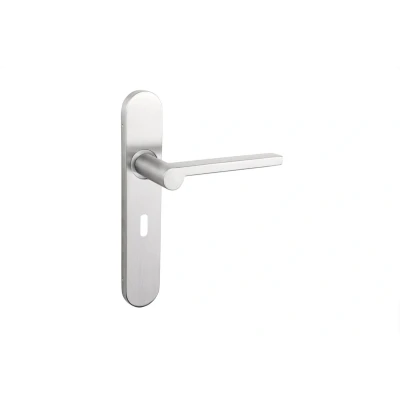 Afbeelding van Lavuzo deurkruk Caserta RVS met afgerond schild SL56 Per set