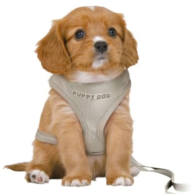 Afbeelding van Trixie Hondentuig Junior Puppy Softtuig Met Riem Lichtgrijs 36 50X1 CM / 2 MTR