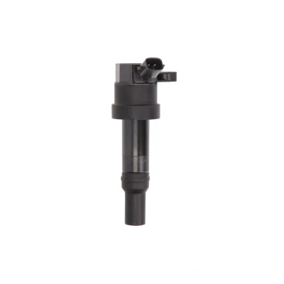 Afbeelding van Delphi Diesel Bobine GN10585 12B1