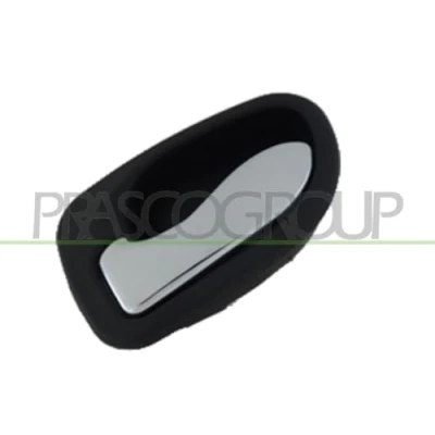 Afbeelding van Handgreep, interieur PRASCO HN3208406