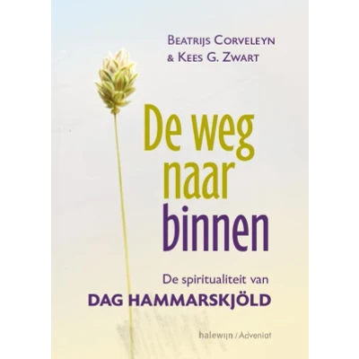 Afbeelding van De Weg Naar Binnen (Paperback)