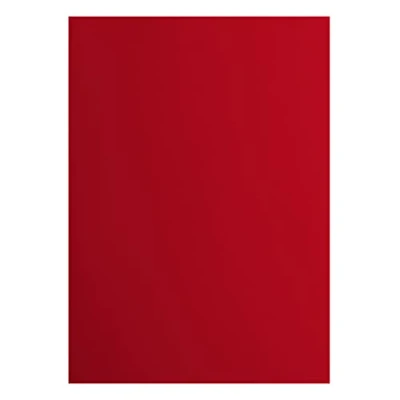 Afbeelding van Vaessen Creative 2927 030 Florence Cardstock papier, rood, 216 g/m², DIN A4, 10 stuks, glad, voor scrapbooking, kaarten maken, stansen en ander papierknutselwerk, Poppy