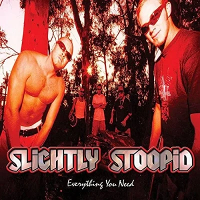 Afbeelding van Slightly Stoopid Everything You Need (LP)