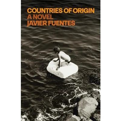 Afbeelding van Countries of Origin: A Novel