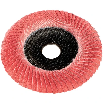 Afbeelding van Metabo 626488000 Lamellenschijf Boordiameter 22.23 mm 10 stuk(s)