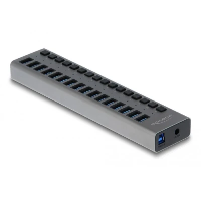 Afbeelding van Delock Externer SuperSpeed USB Hub mit 16 Ports + Schalter
