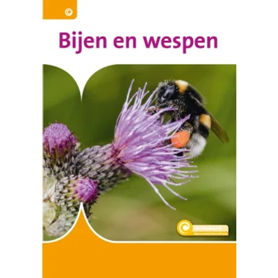 Afbeelding van Informatie 81 Bijen en wespen