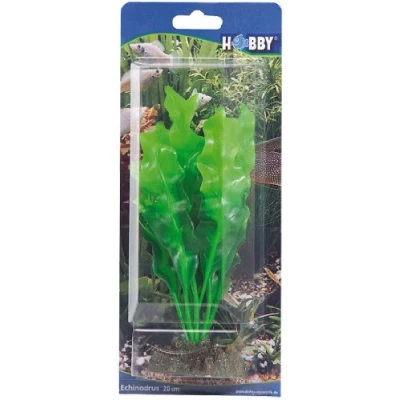 Afbeelding van Hobby 41504 Echinodrus, 20 cm