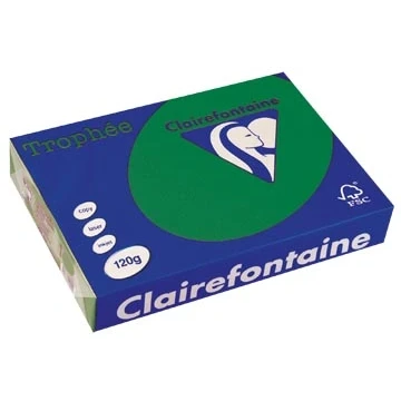Afbeelding van Clairefontaine Trophée Intens, Gekleurd Papier, A4, 120 G, 250 Vel, Dennengroen Papier