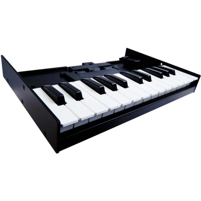 Afbeelding van Roland K25m keyboard unit